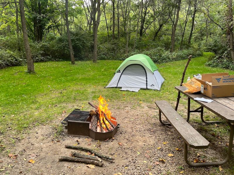 Camping Under the Stars at Apple River Canyon