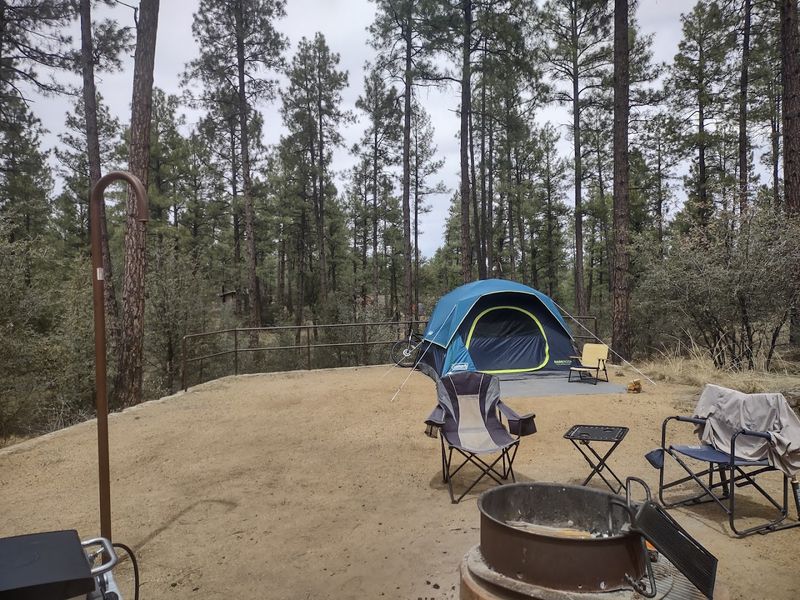 Camping Under the Stars at Lynx Lake