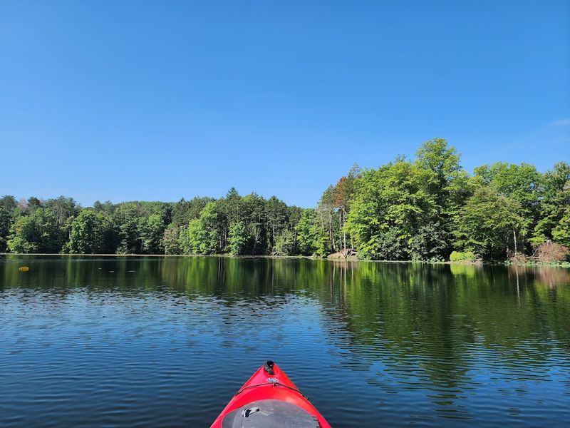 Camping With Electric Hookups and Waterfront Serenity Camping With Electric Hookups and Waterfront Serenity