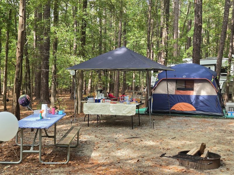 Campsite Options That Suit Every Kind of Camper Campsite Options That Suit Every Kind of Camper