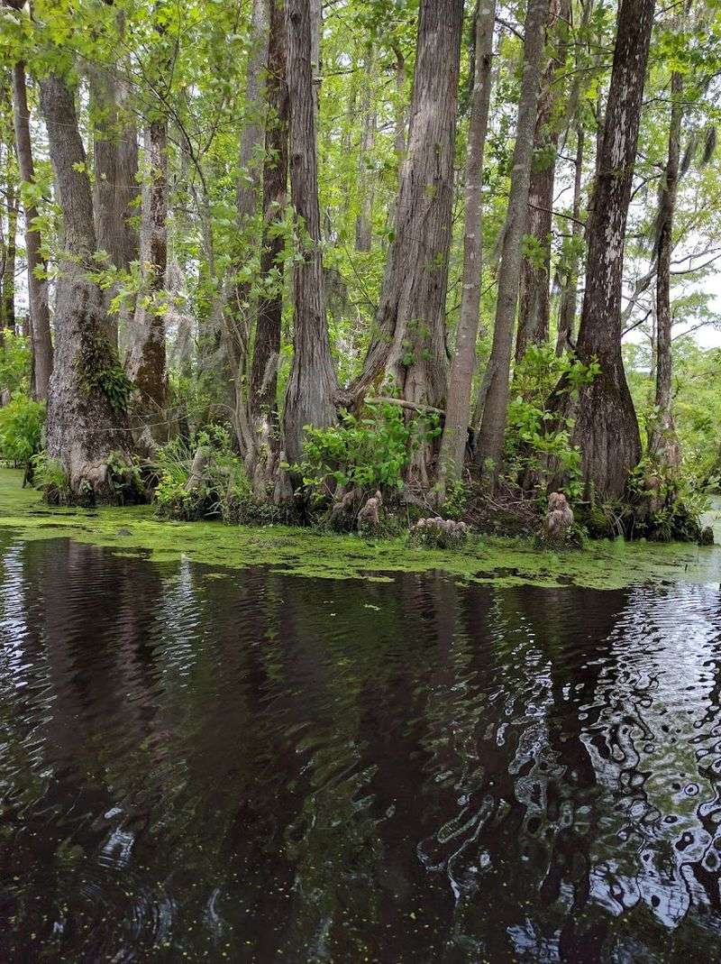Canoe Rentals and the Boat Ramp