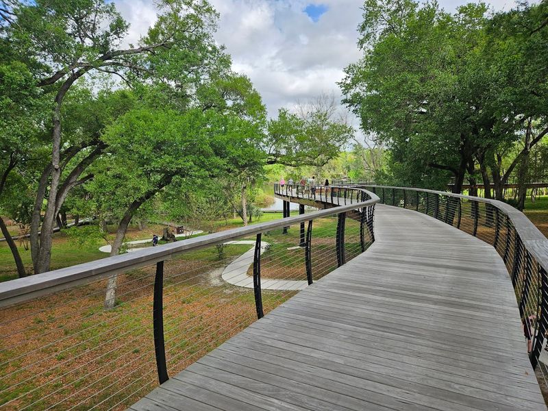 Canopy Walk Through Ancient Oak Trees
