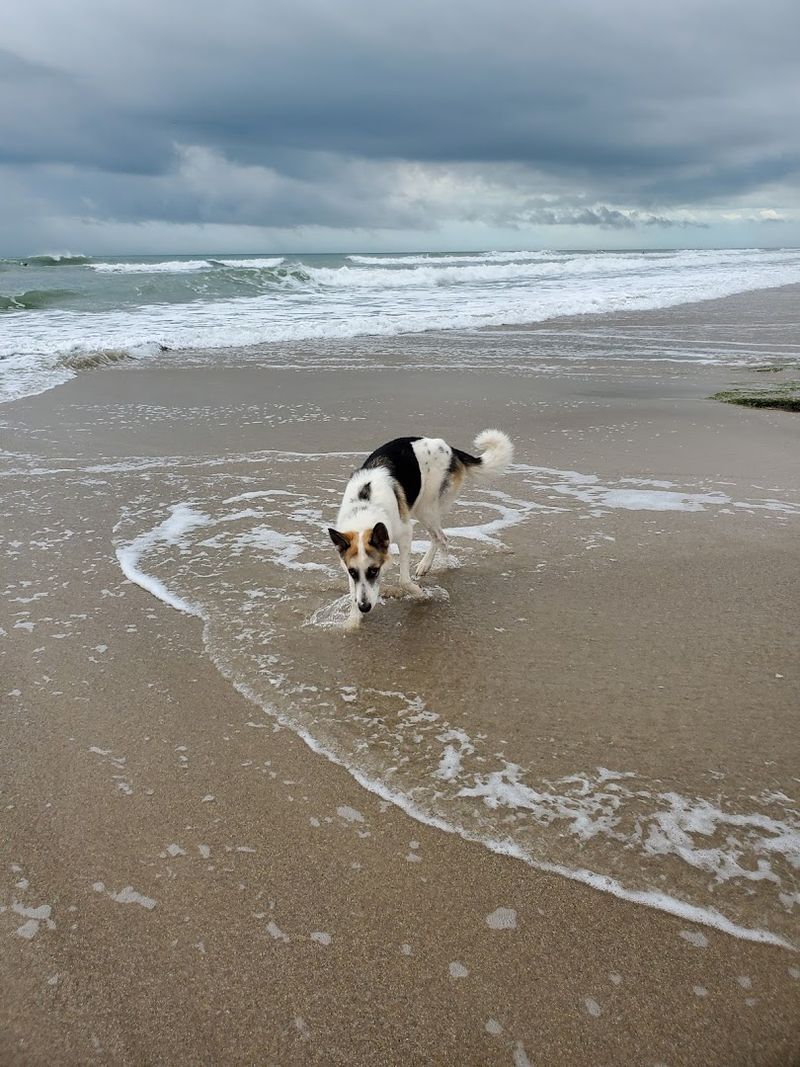 Canova Beach Park - Indian Harbour Beach, Florida