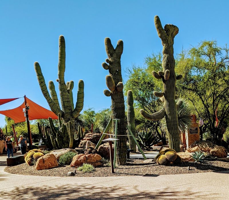 Carefree Desert Gardens Carefree Desert Gardens