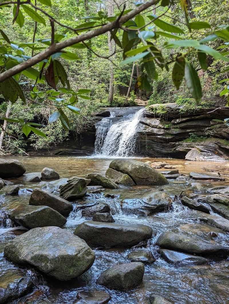 Carrick Creek Loop: Perfect for Families and Casual Hikers