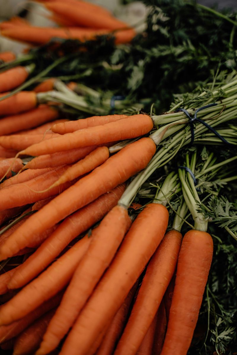 Carrots Carrots