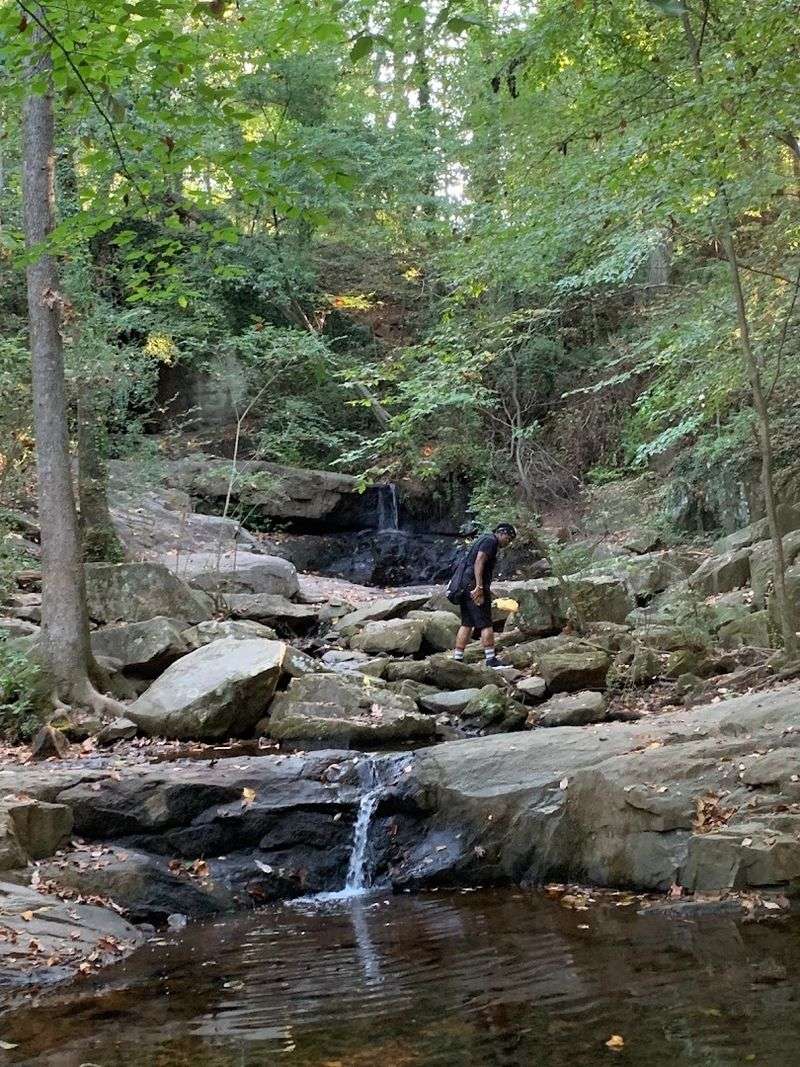 Cascade Springs Nature Preserve - Atlanta, Georgia