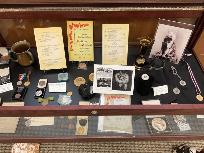 Cat Show History and Competition Memorabilia