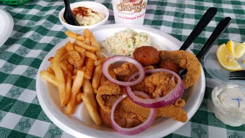 Catfish That Could Convert Anyone