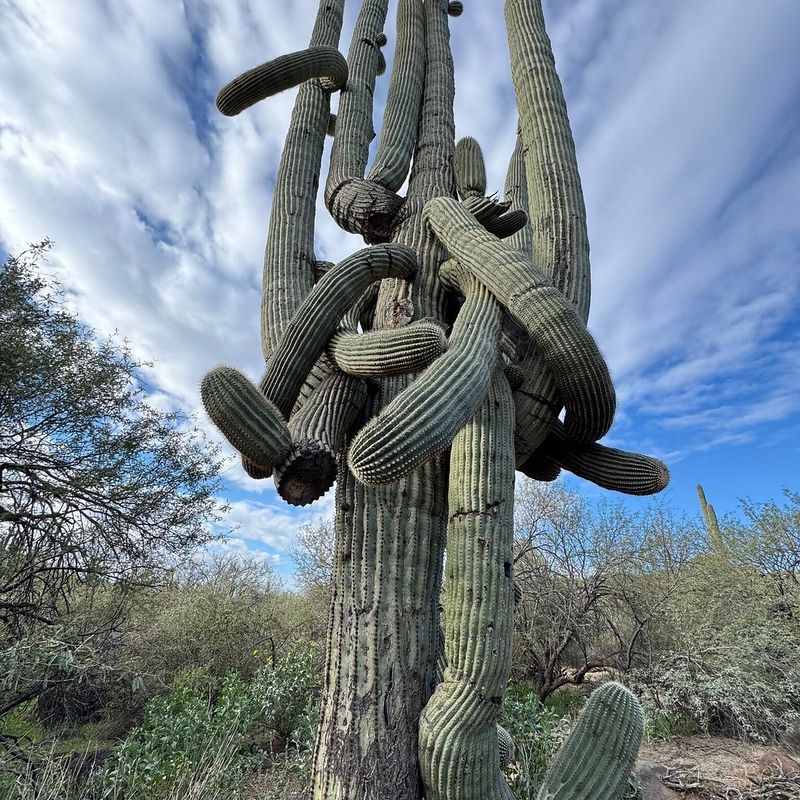 Cave Creek Regional Park Views Cave Creek Regional Park Views
