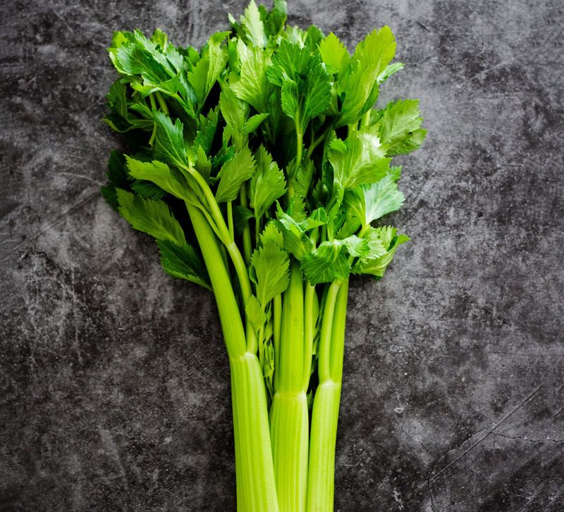 Celery Sticks Celery Sticks