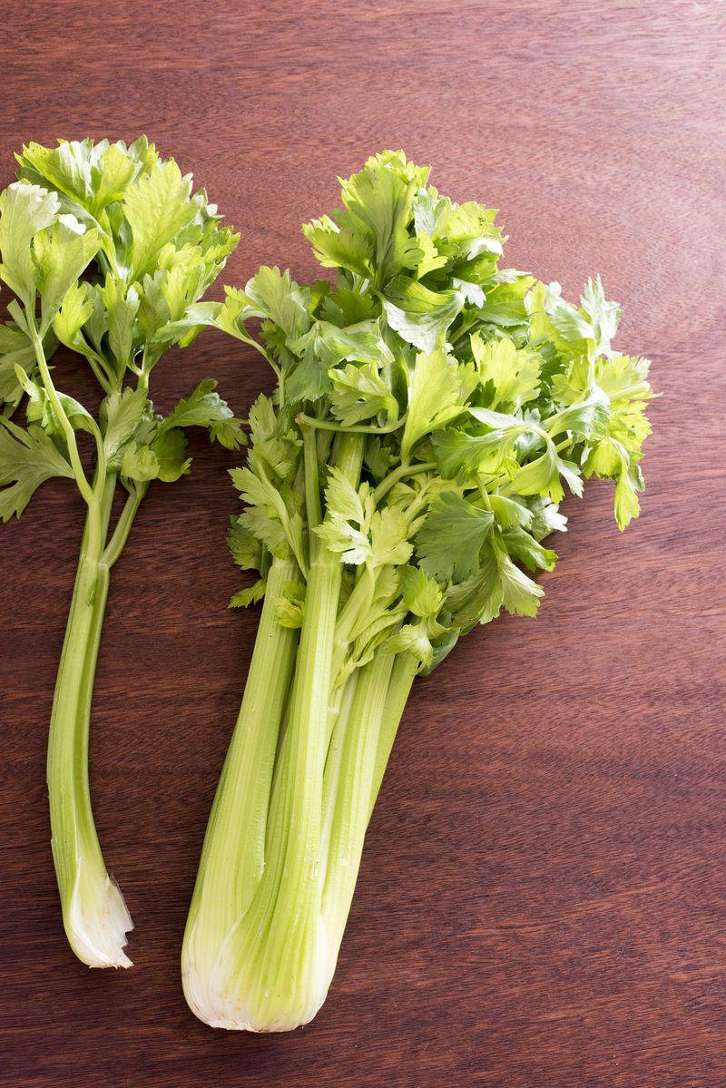 Celery