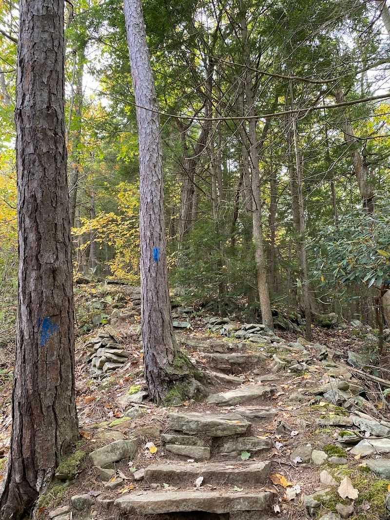 Challenging Yet Rewarding Hiking Trails