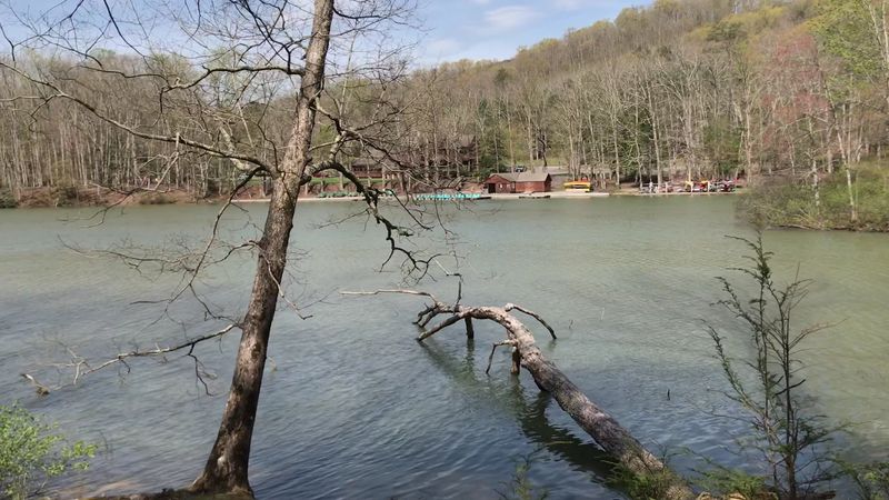 Charming Cabins Built by the CCC