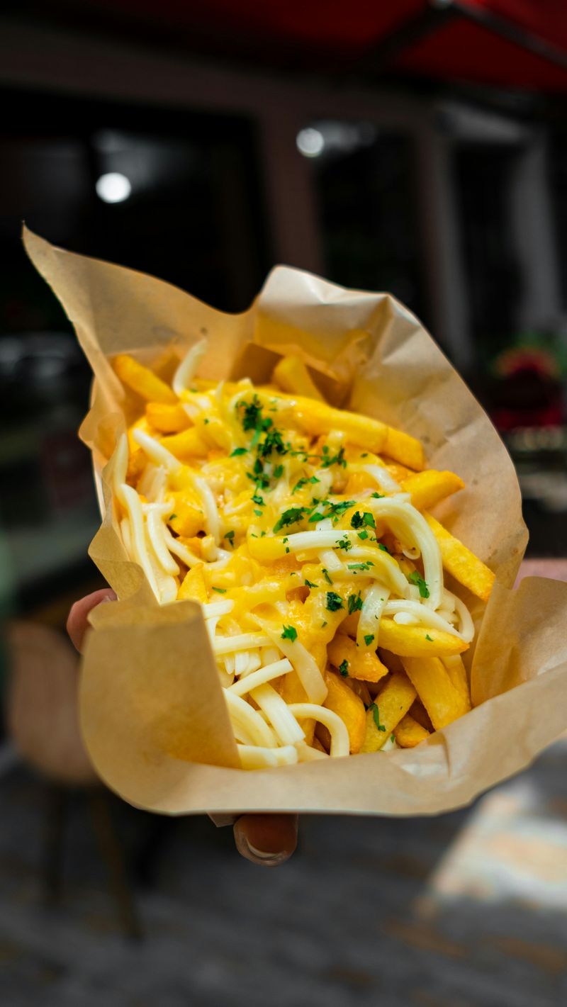 Cheese Fries