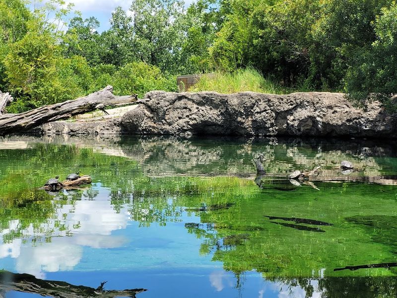 Chehaw Park: Nature and Wildlife at Your Leisure