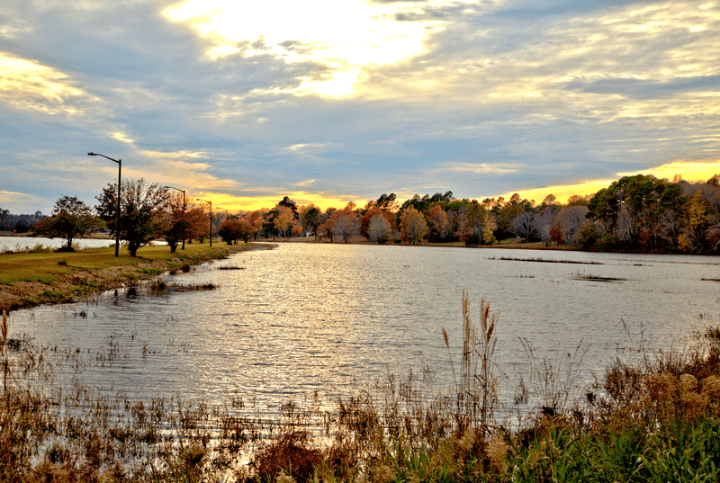 Cheraw State Park Day Trip: Nature Just a Short Drive Away