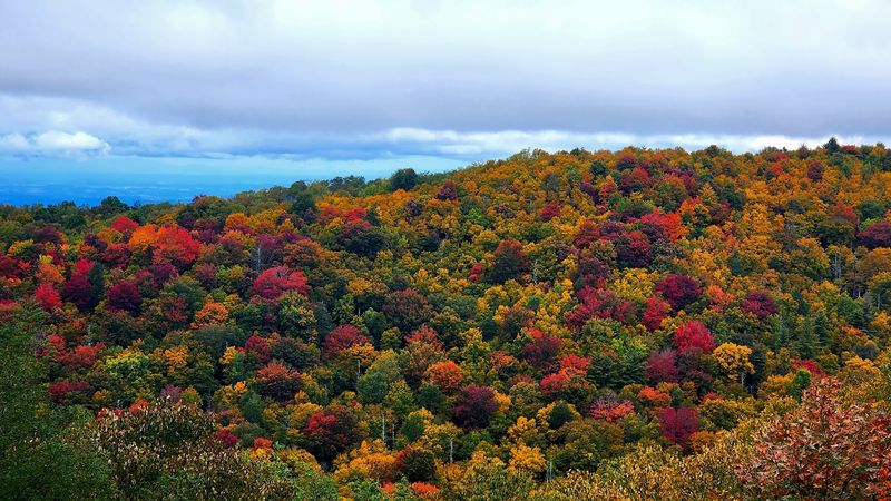 Cherokee National Forest - Tellico Plains, Tennessee