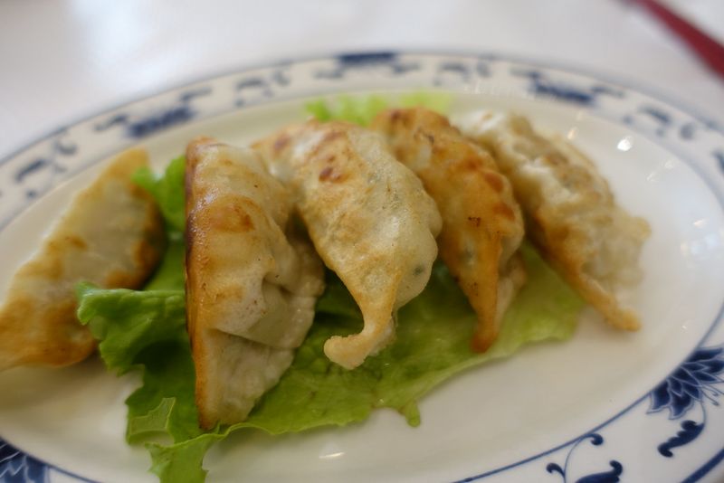 Chicken Dumplings