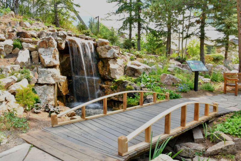 Children's Programs That Make Nature Fun