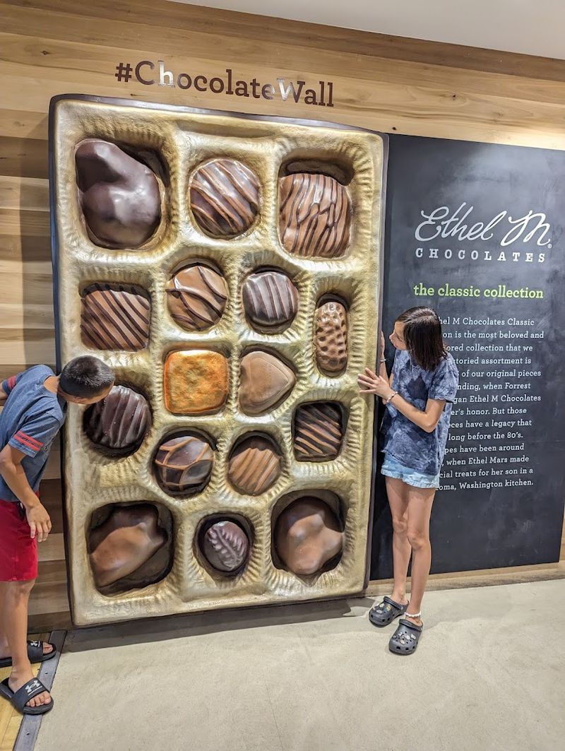 Chocolate and Mimosa Tasting Experience