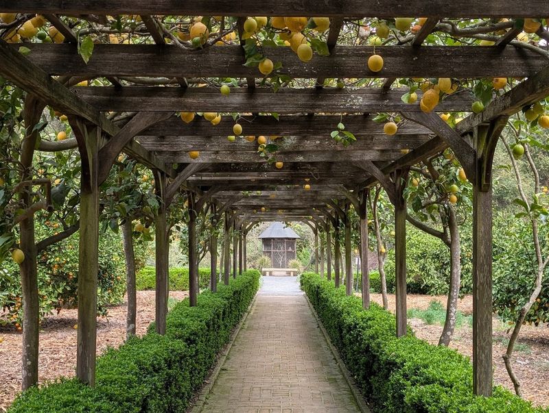 Choosing Between a Docent Tour and Self-Guided Exploration