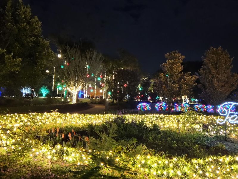 Christmas Strolls That Turn the Garden Into a Winter Fairyland