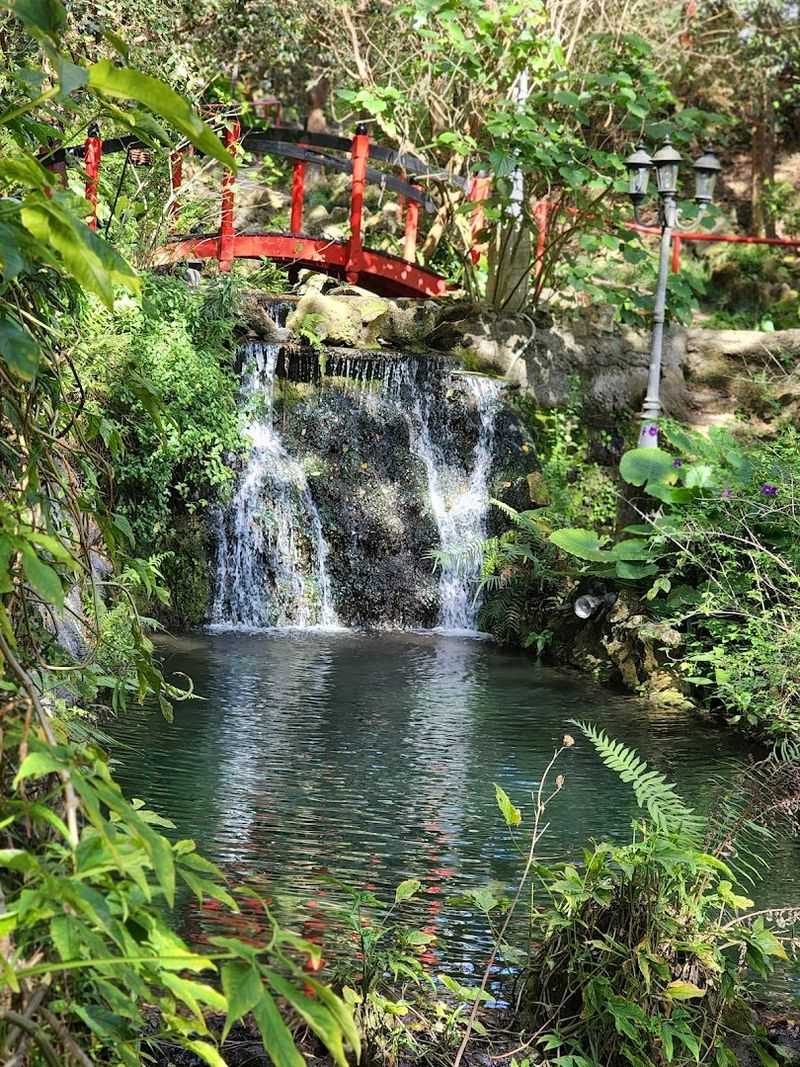 Christmas in the Quarry — A Holiday Event Like No Other