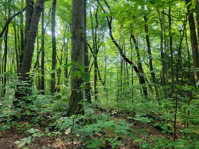 Clear Creek Metro Park - Lancaster, Ohio
