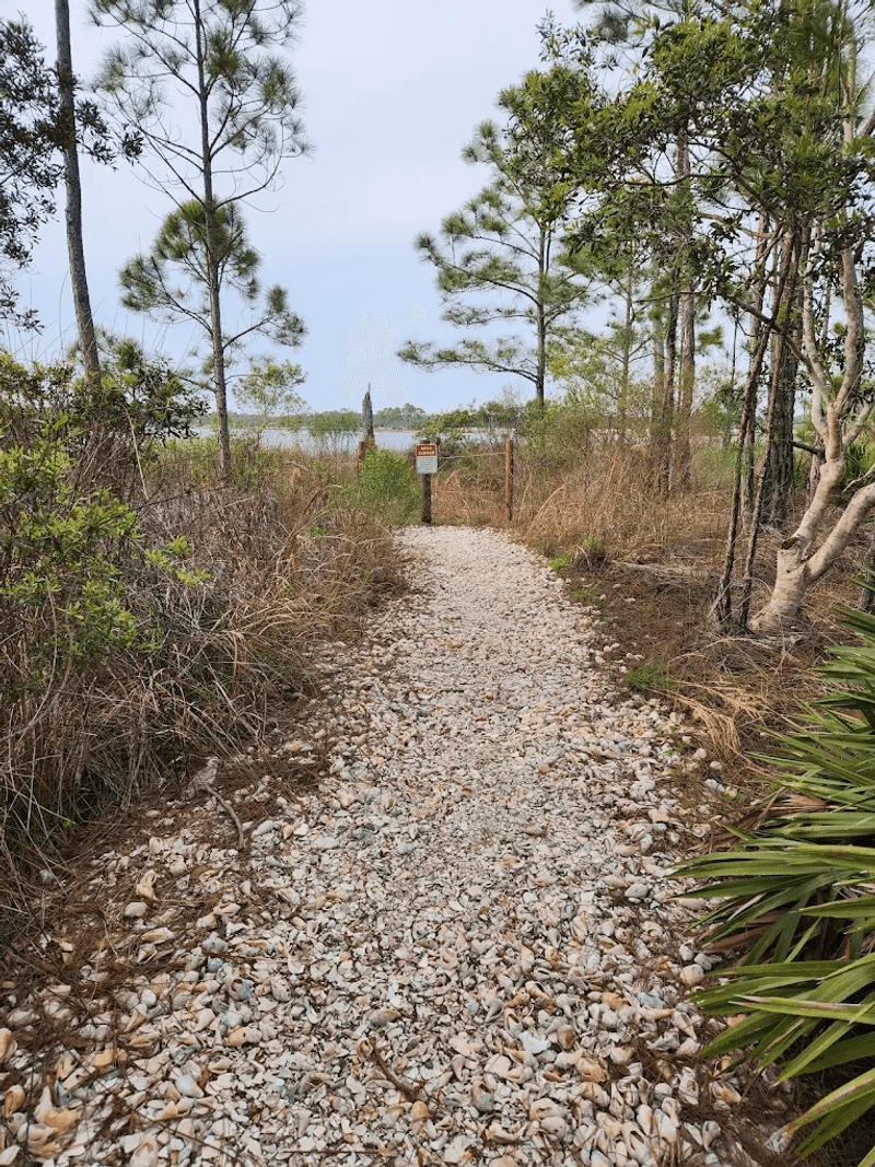 Coastal Dune Lakes: A Geographical Rarity