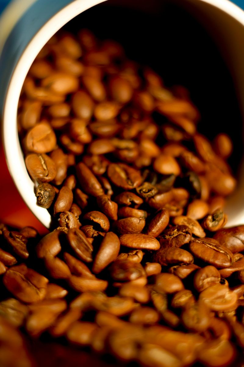 Coffee Coffee
