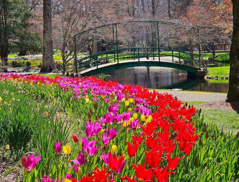 Colorful Tulip Displays Worth Timing Your Visit For