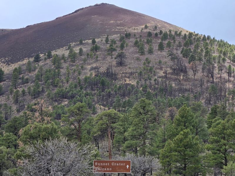 Combine Your Visit with Sunset Crater Volcano
