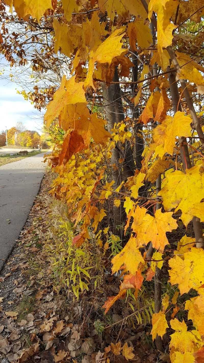 Connecting Petoskey, Harbor Springs, and Charlevoix