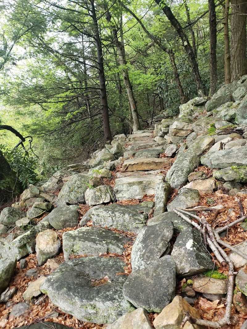 Connecting to Longer Trails in Rothrock State Forest