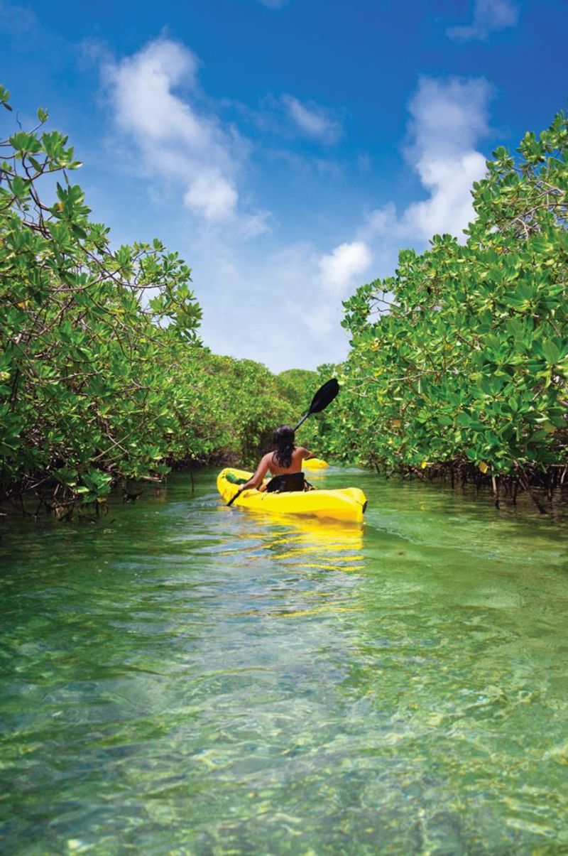 Conservation Efforts Keeping This Wild Place Alive