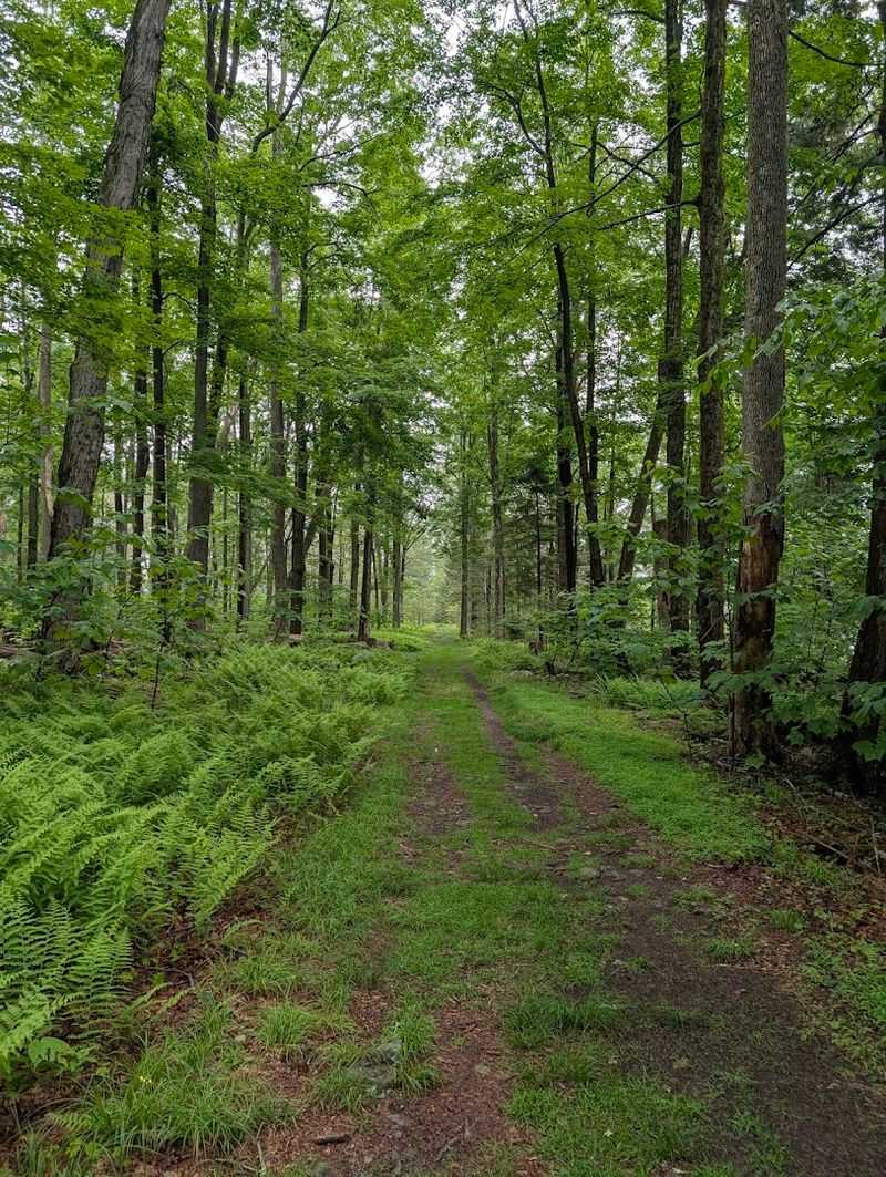 Conservation Island: A Mile-Long Loop Worth Every Step Conservation Island: A Mile-Long Loop Worth Every Step