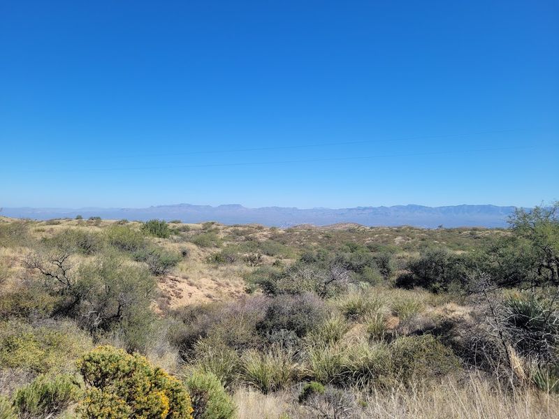 Cool Temperatures and High-Elevation Escape From City Heat