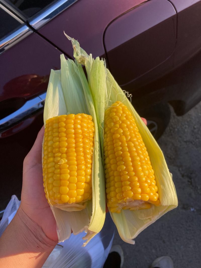 Corn on the cob