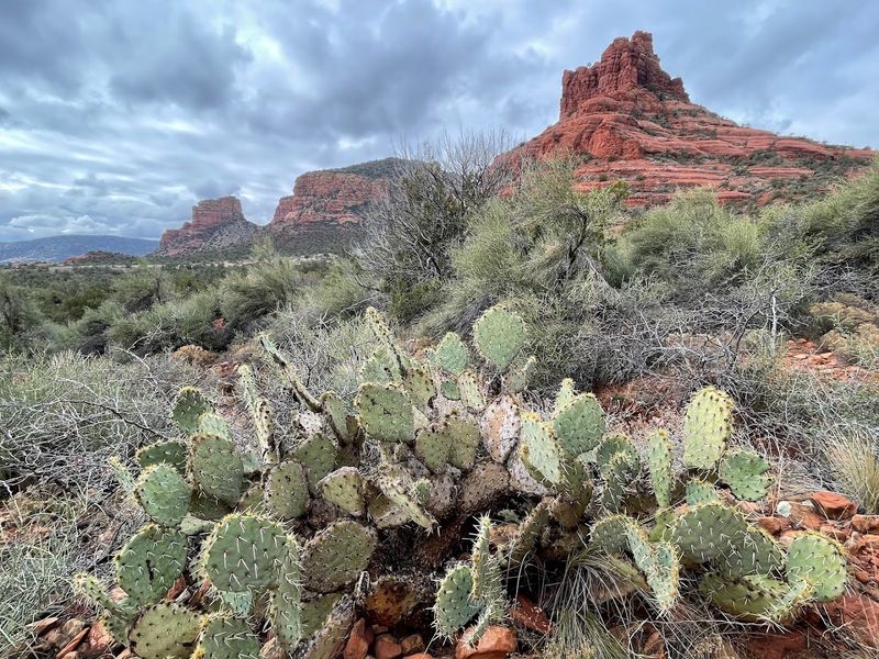 Courthouse Butte and the Wider Landscape After Dark