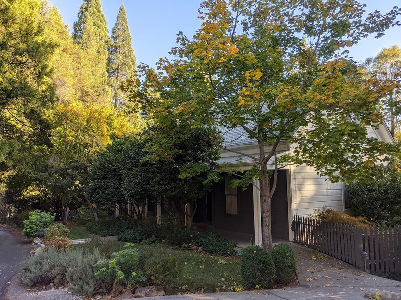 Cozy Bed and Breakfasts That Make You Never Want to Leave