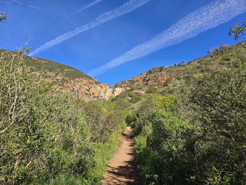 Crowds and Trail Etiquette: How to Have a Better Experience