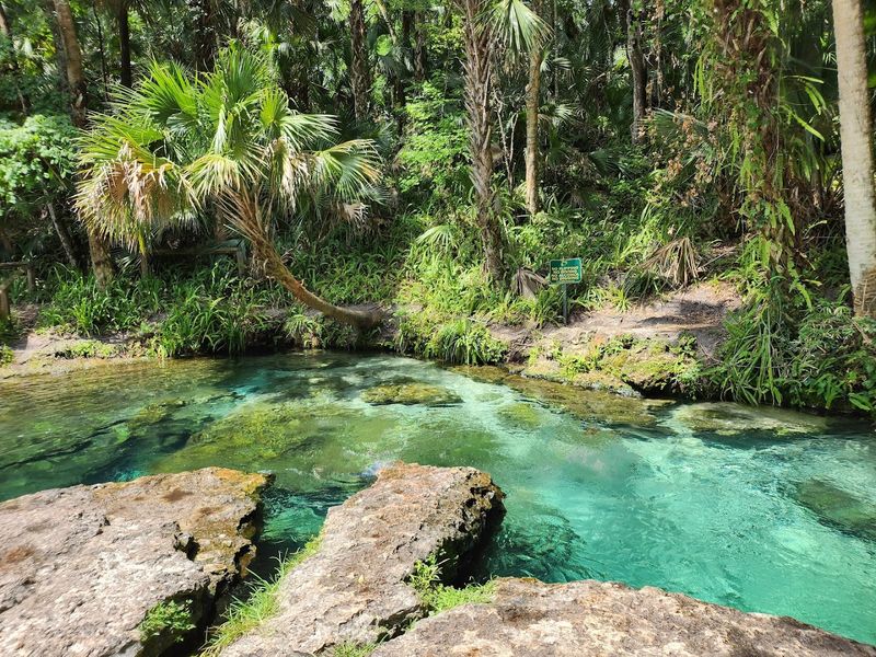 Crystal-Clear Spring Water You Have to See to Believe