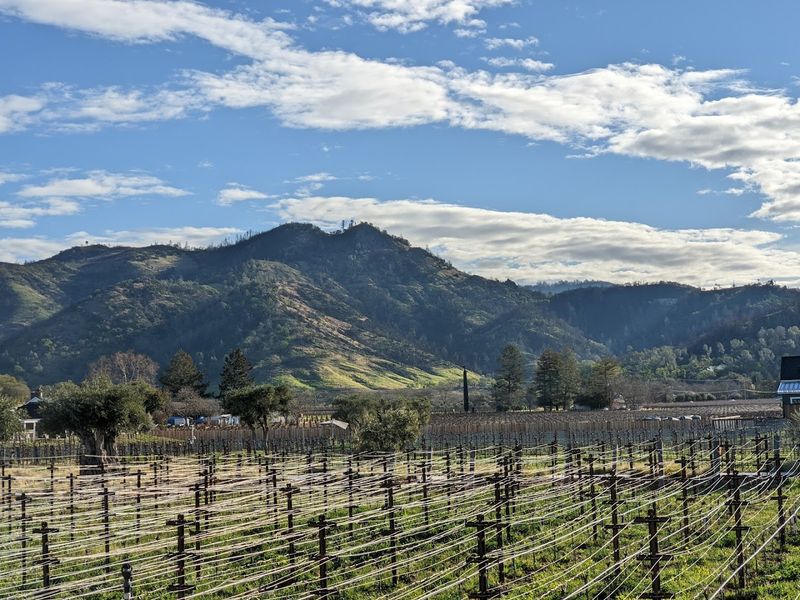 Cycling and Biking Through Calistoga