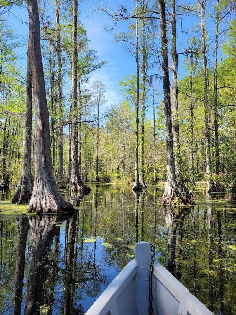 Cypress Gardens - Moncks Corner, South Carolina