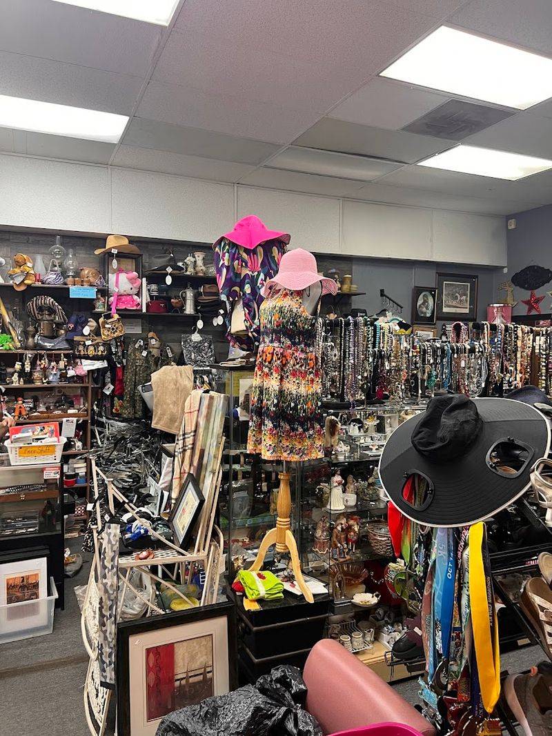 Daily Thrift - Palm Bay, Florida