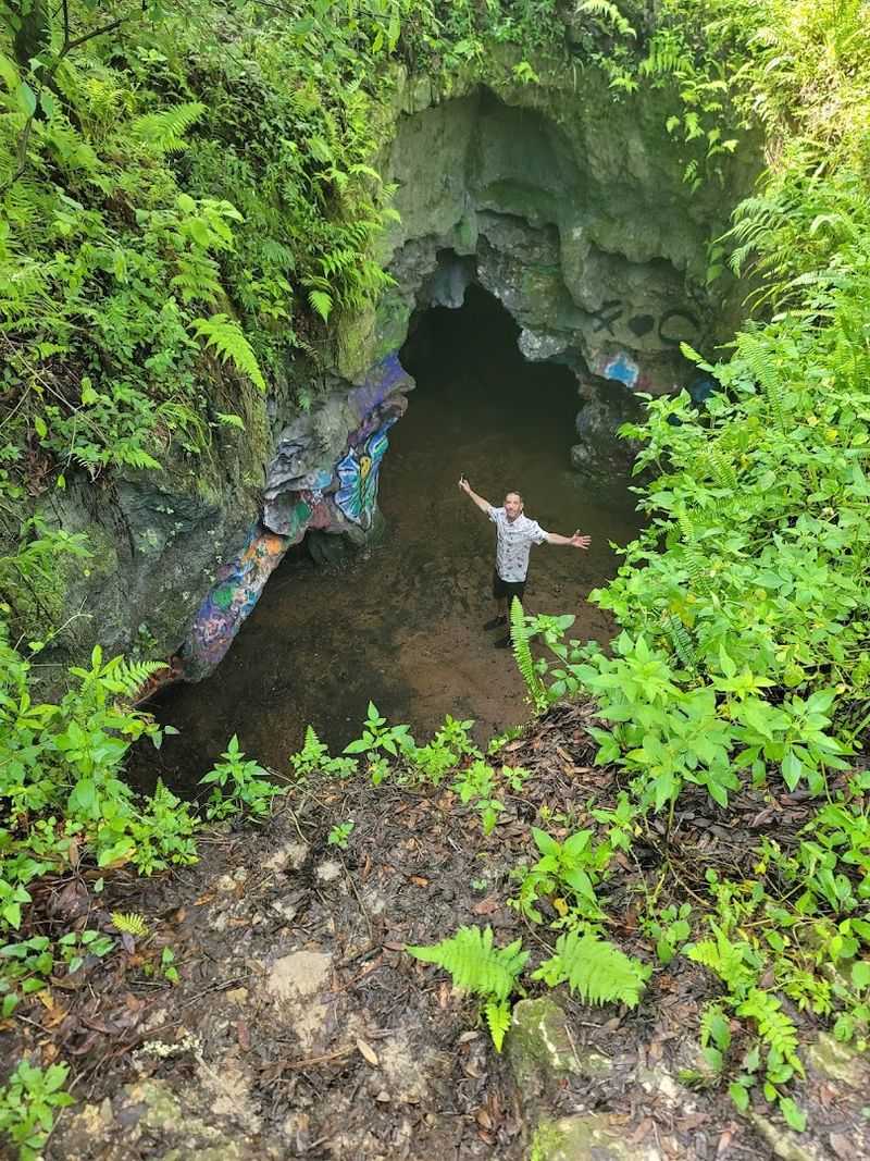 Dames Cave: The Star of the Show
