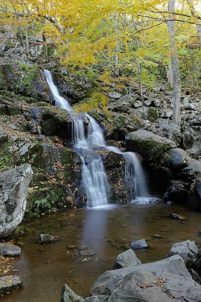 Dark Hollow Falls Trail - Shenandoah National Park, Virginia
