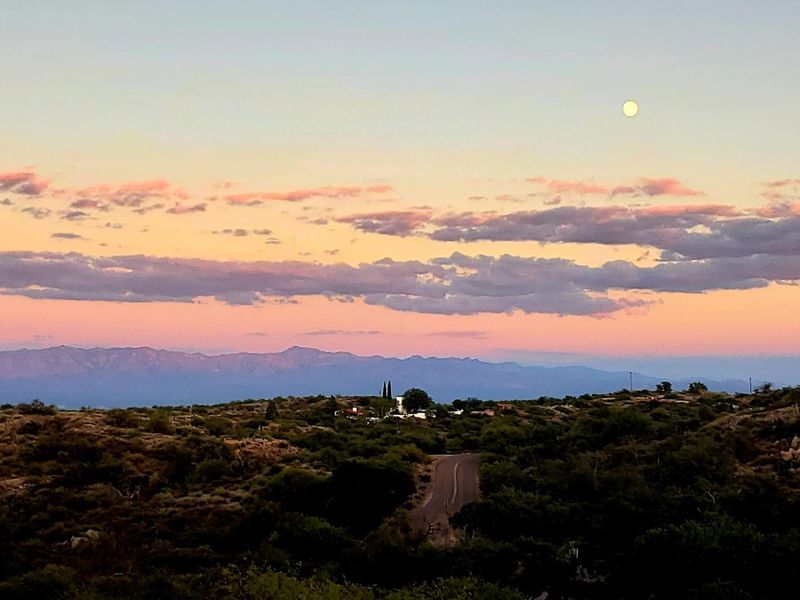 Dark Sky Stargazing Events That Will Leave You Speechless