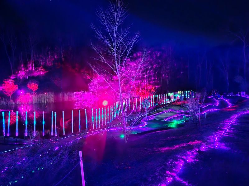 Dazzling Lights Holiday Event Is Pure Magic Dazzling Lights Holiday Event Is Pure Magic